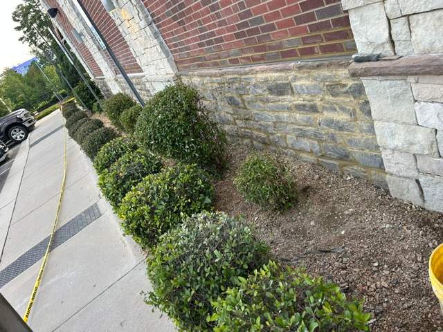 Commercial Exterior Remodel and Masonry Restoration for Chuy’s in Cary by U.S. Exterior Solutions
