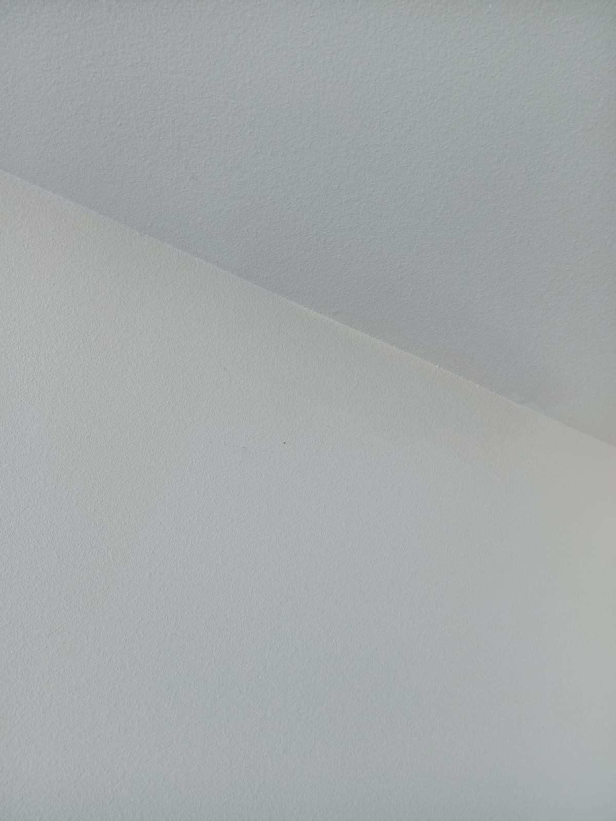 Project in Argyle by Armor Roofing | Exteriors