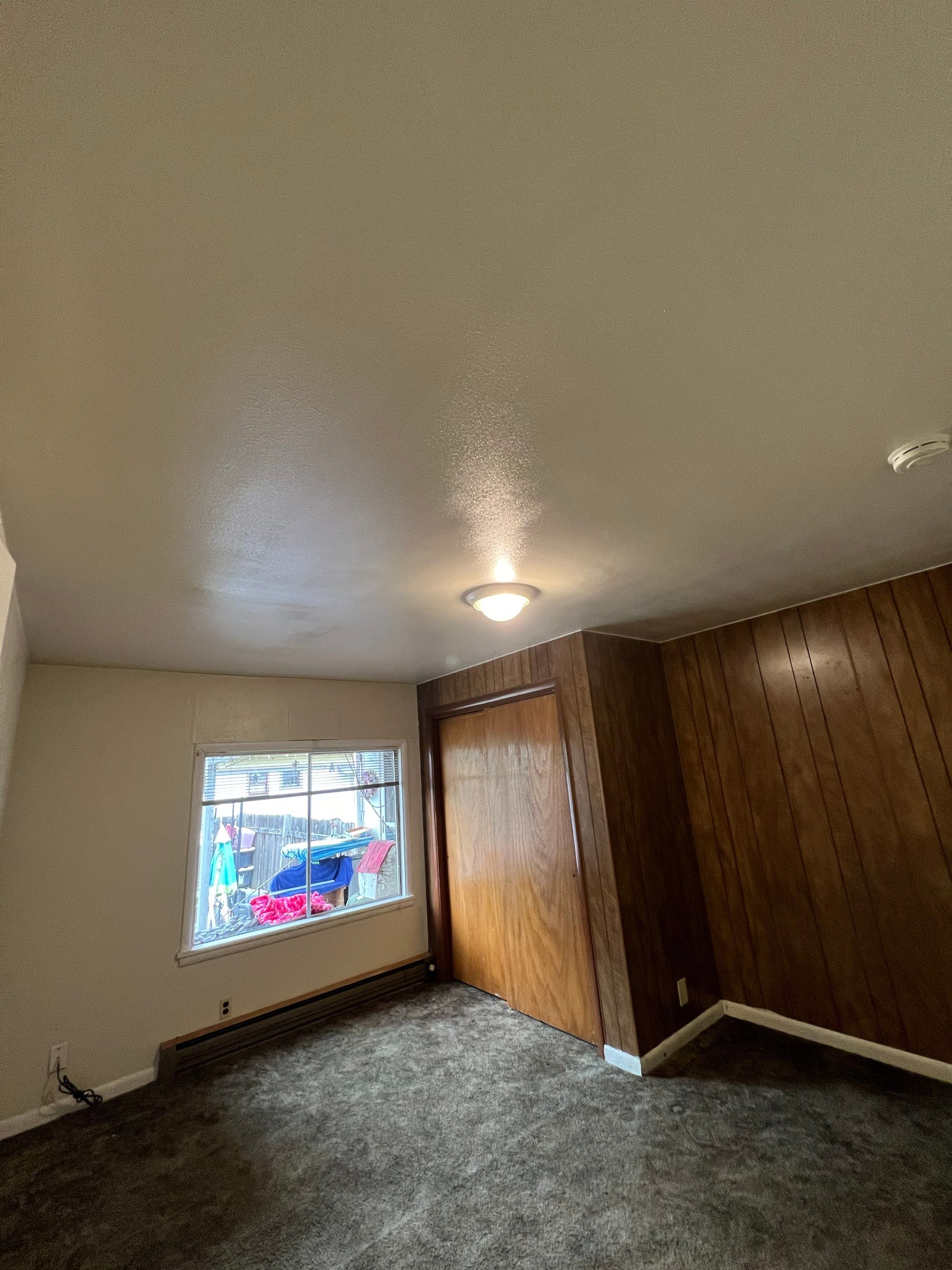 Ceiling Repairs / Painting by Handyman State LLC