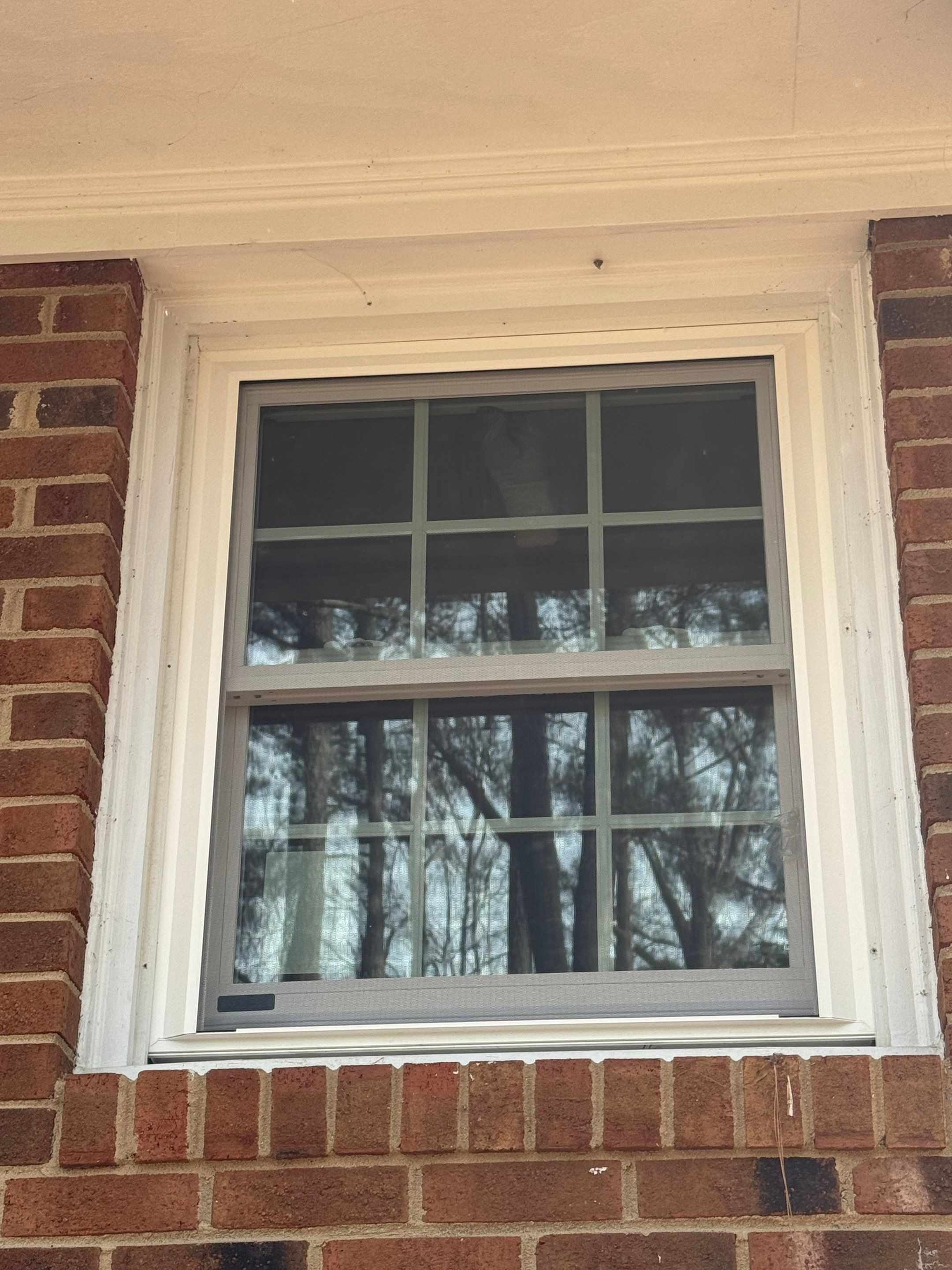 Project in Cary by Window Works