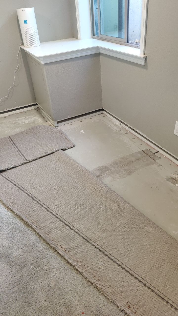 Mold Remediation  by Accountable Home Services
