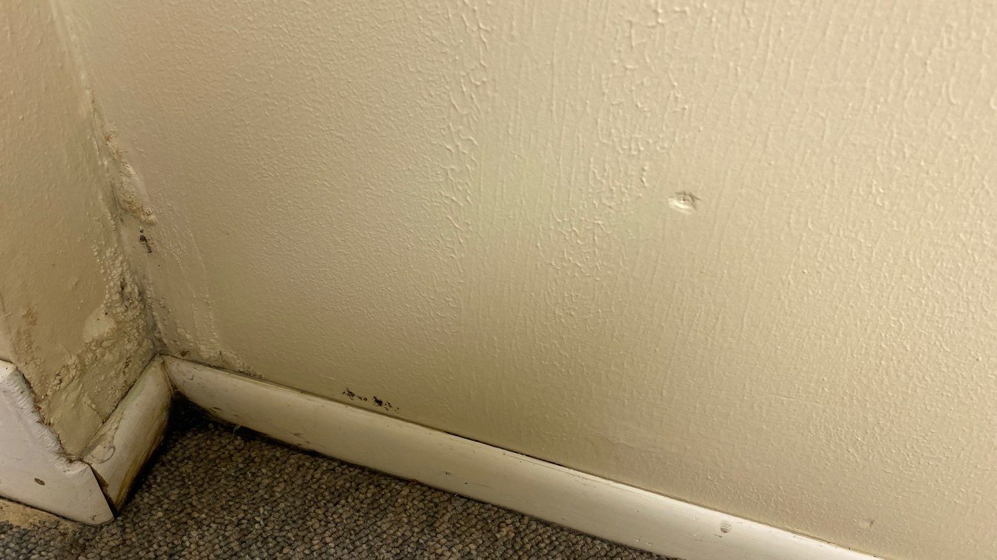 Water Damage  by Accountable Home Services