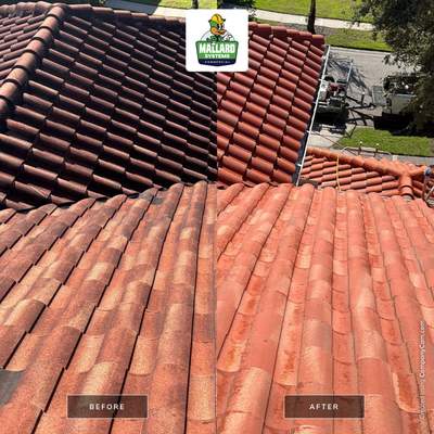 Tile Roof Cleaning in Celebration