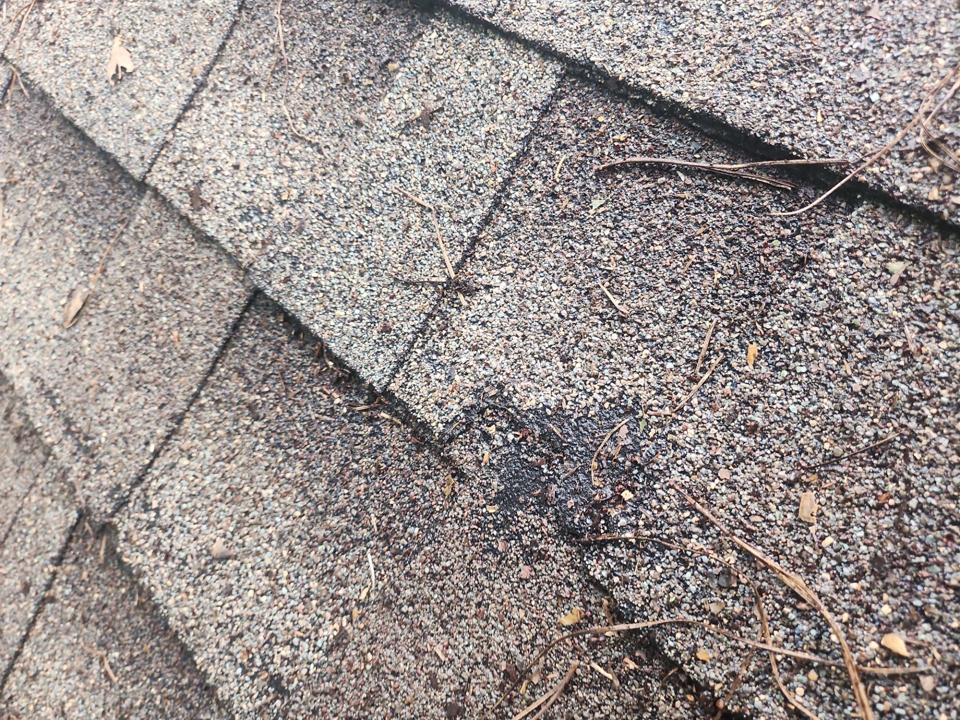 Hail Damage using Owen's Corning Duration (Lifetime) Shingles by Roof Repair Company