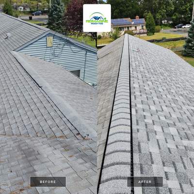 Silver Birch Shingles