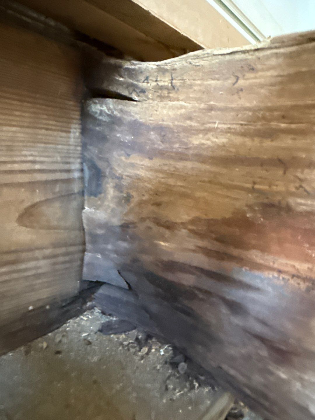 Real Estate Mold Remediation by Healthy Home Solutions