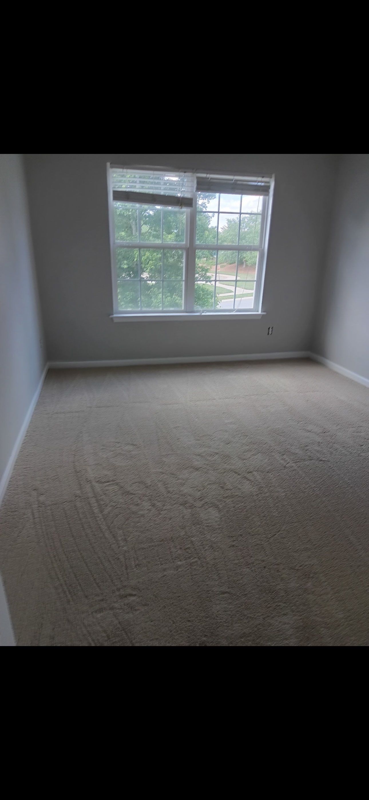 Project 84 by FMP Flooring
