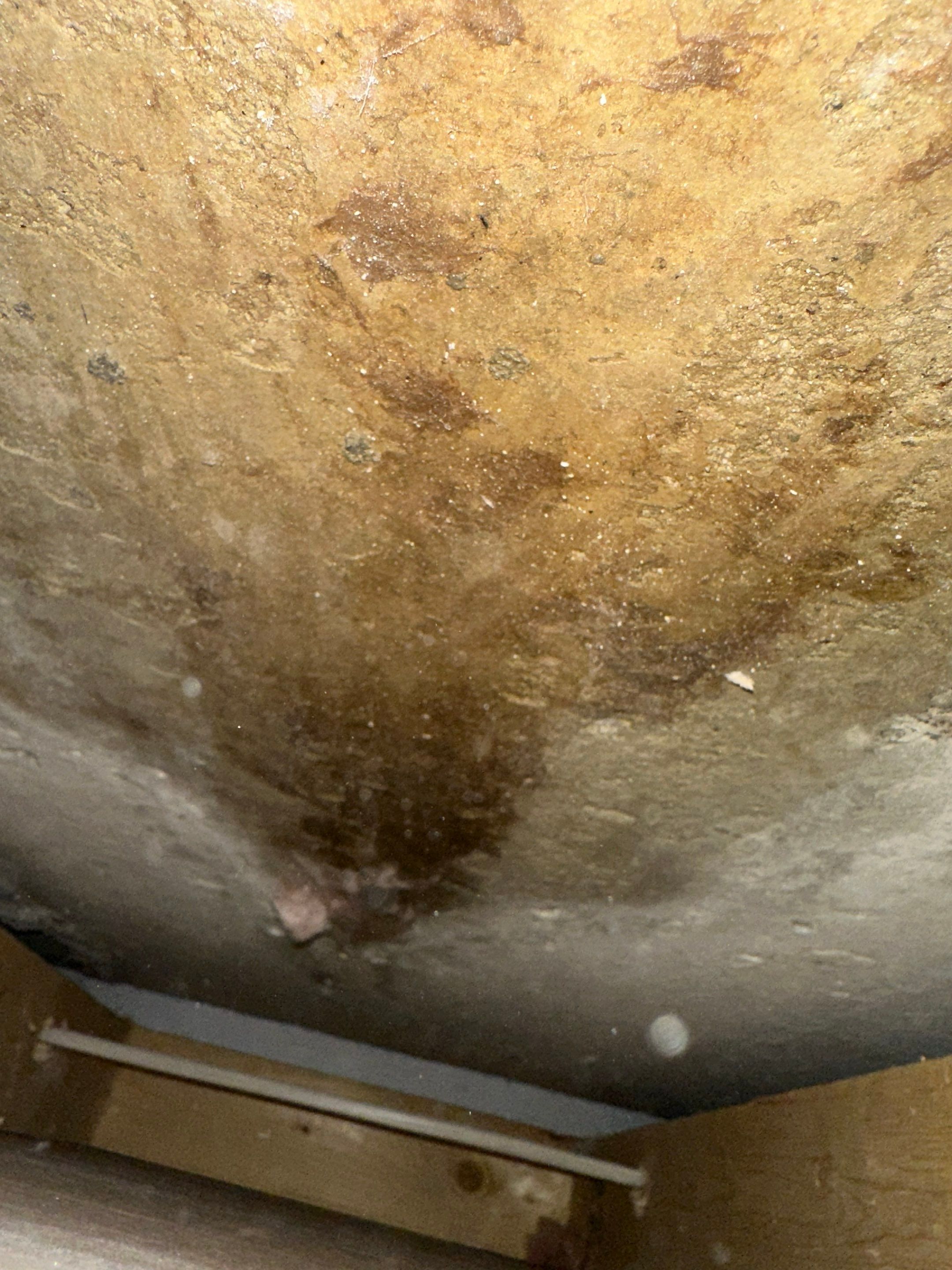 Foundation leak long term damage in new build home by BlueRed Restoration