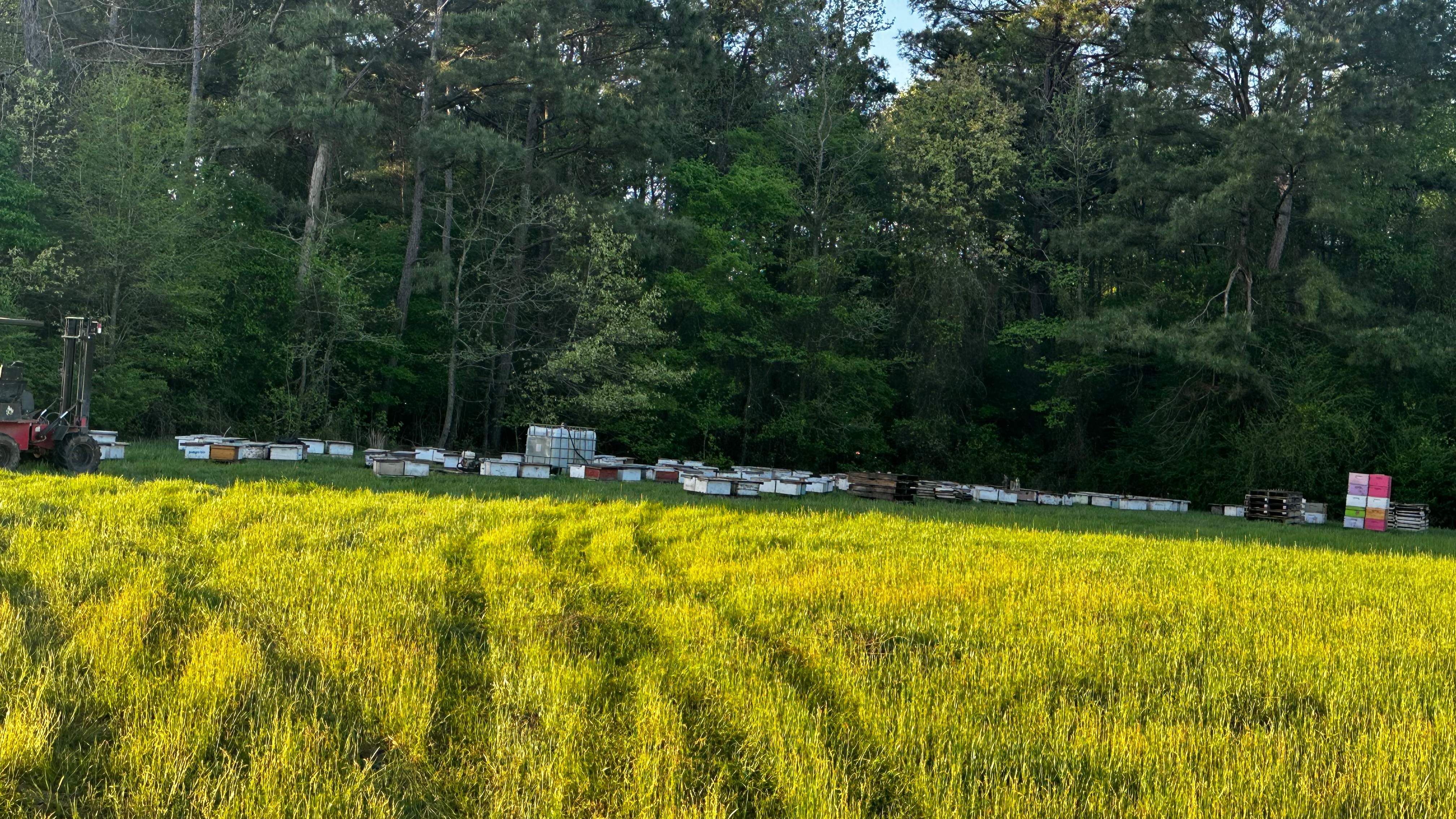 Traylor's Hay Meadow Apiary by Rockwall Honey Bee Company