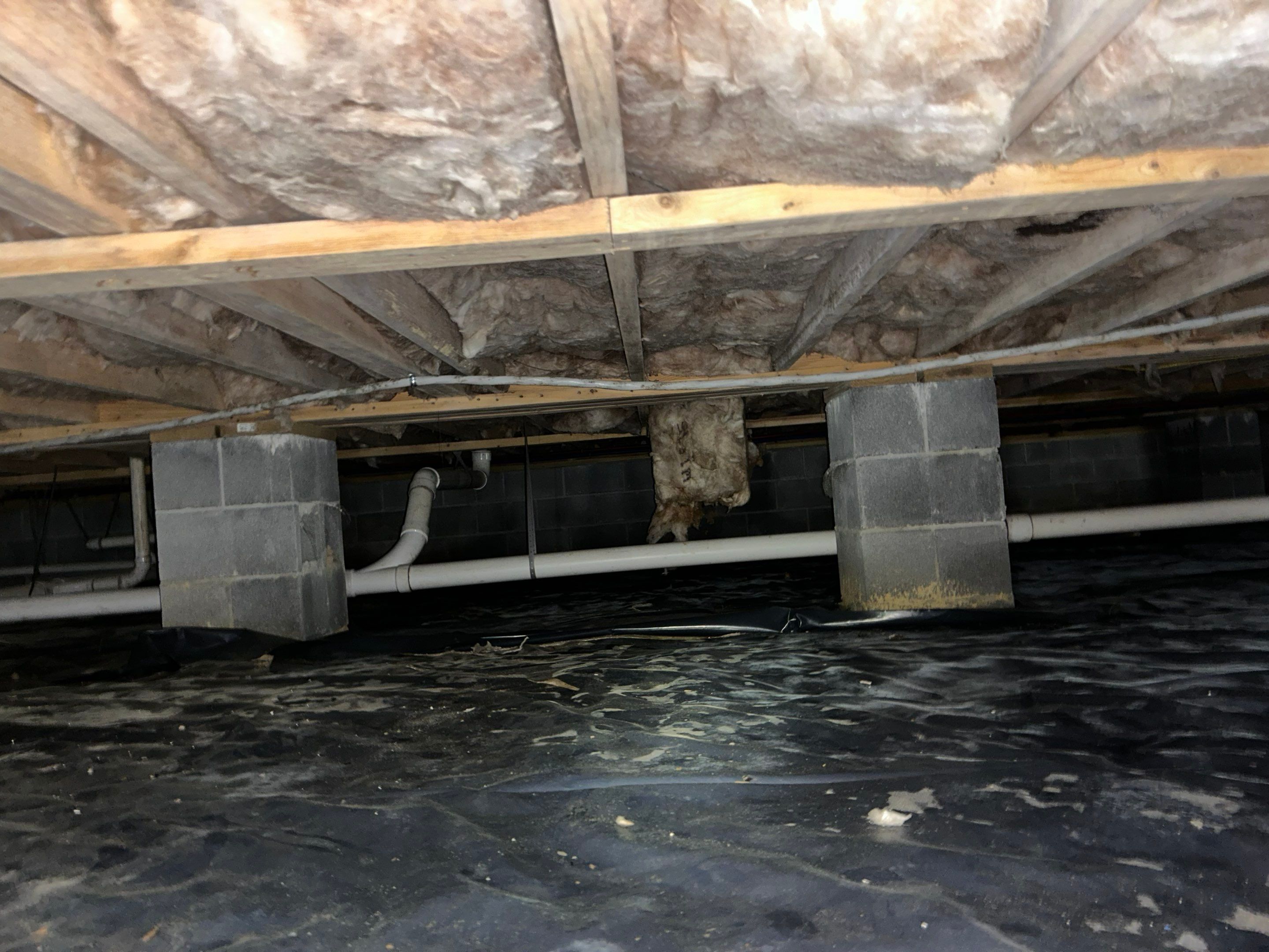 Premium Encapsulation with 20Mil, Borafoam insulation and Light System. by Impact Crawlspace
