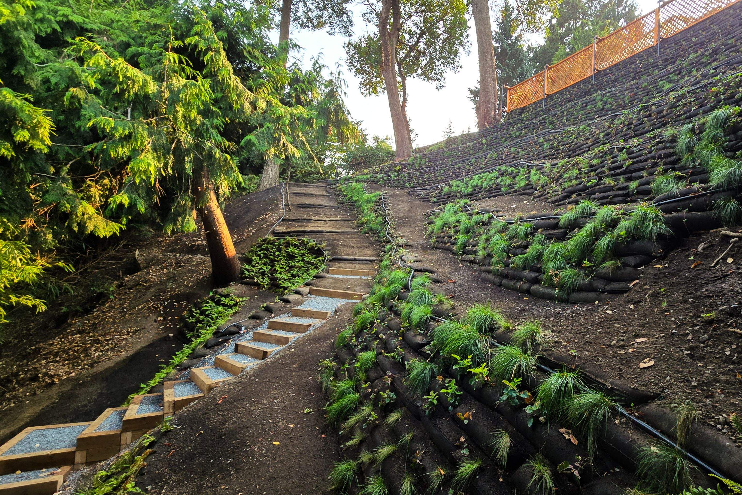Georgia Park Terrace — Living Slope Transformation by Habanero Landscape Solutions
