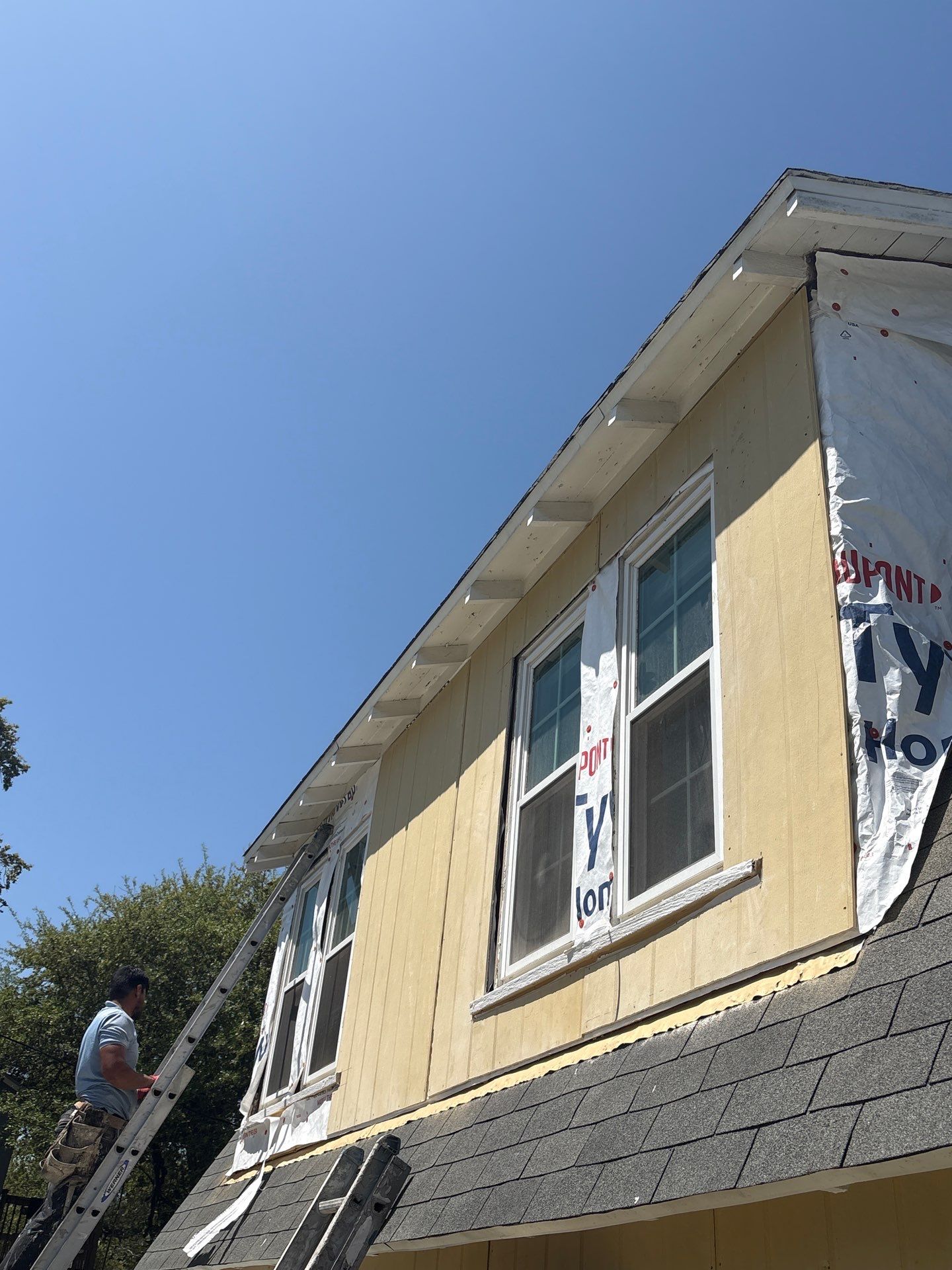 Olive you a Lot! by Bayfront Roofing and Construction