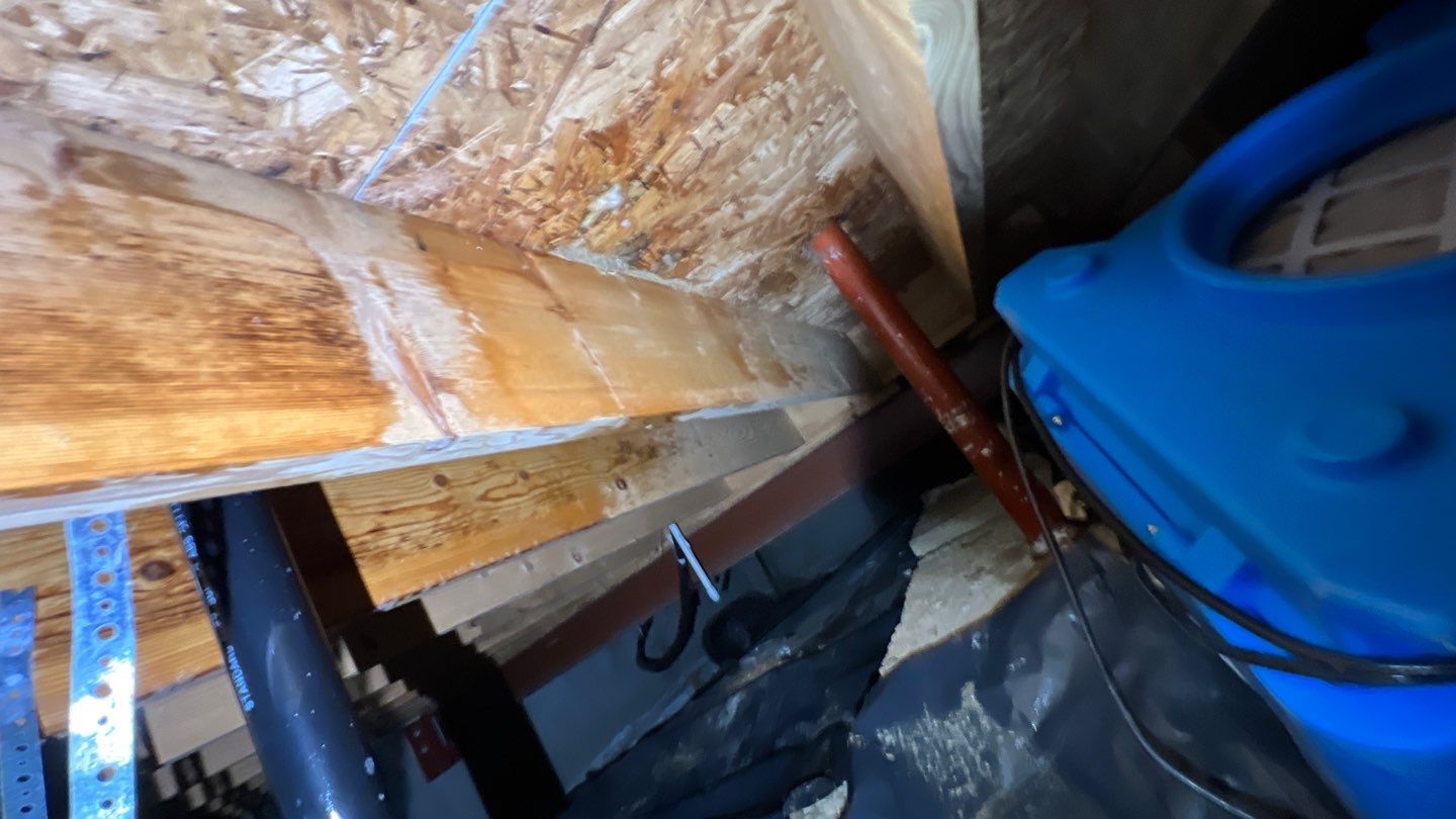 Mold Damage by Accountable Home Services