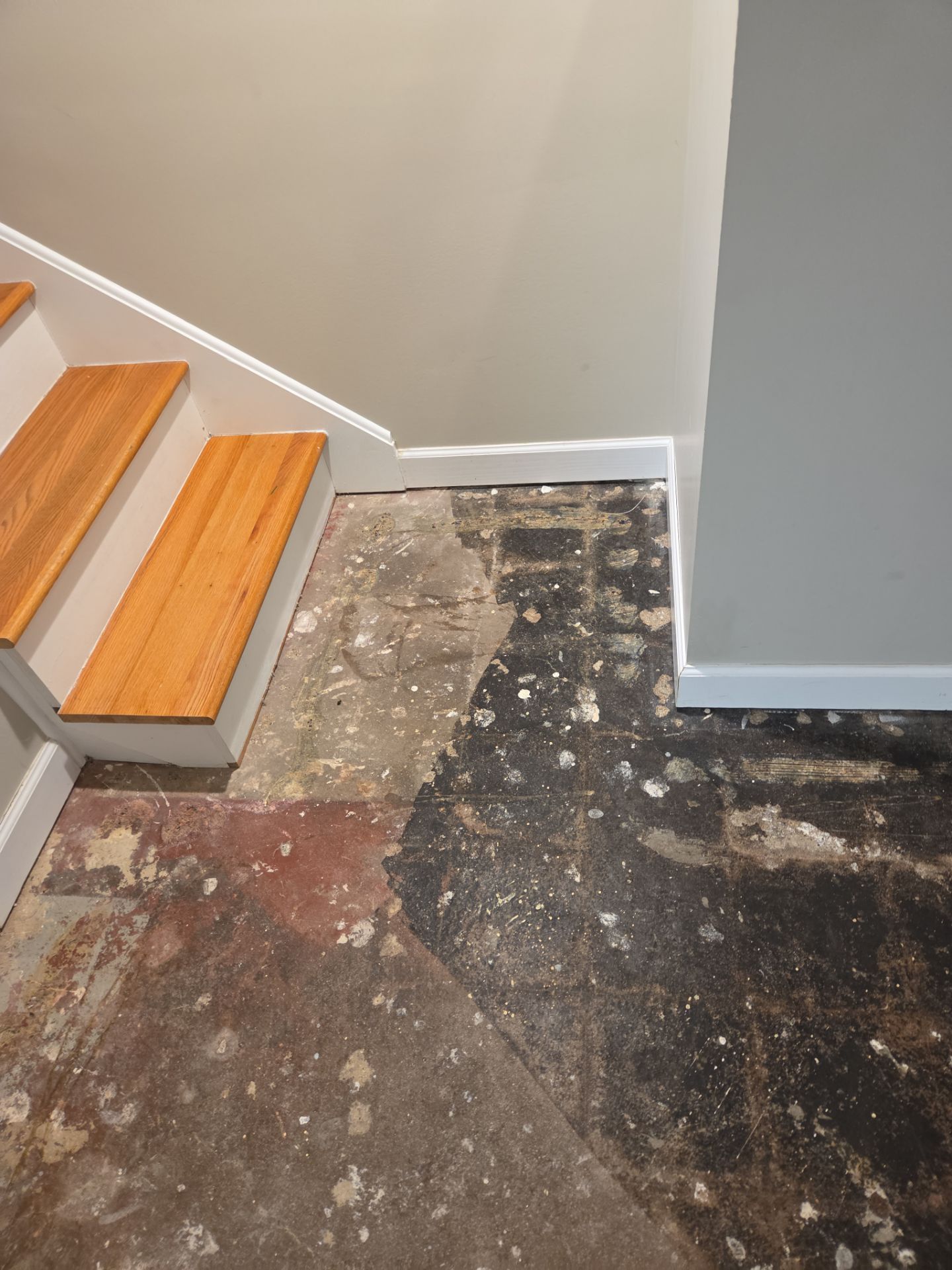 Coyote Basement Floor Coating by Level 10 Coatings