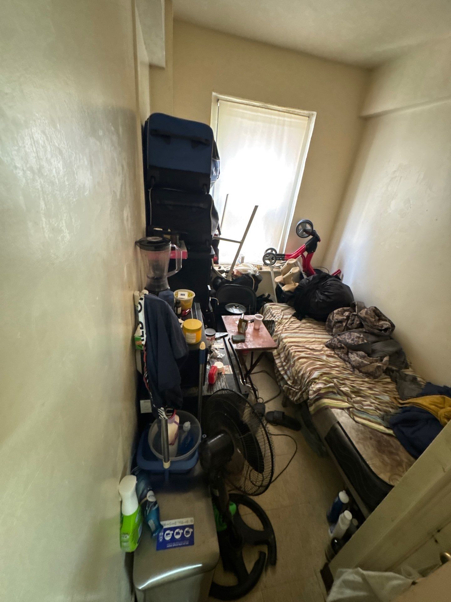 NYC Extermination featured photo.