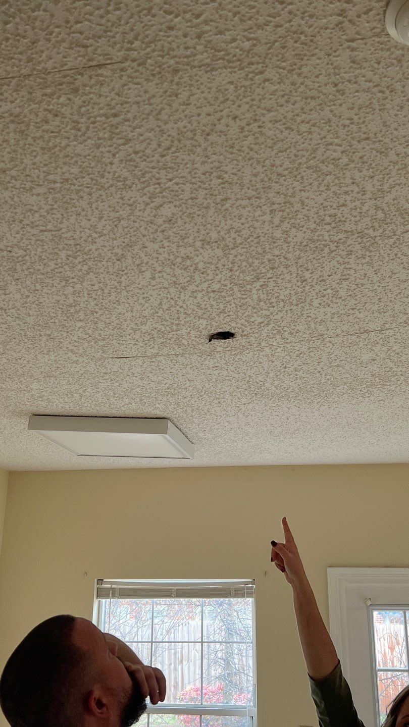 The Gardens of Rome by PC&D