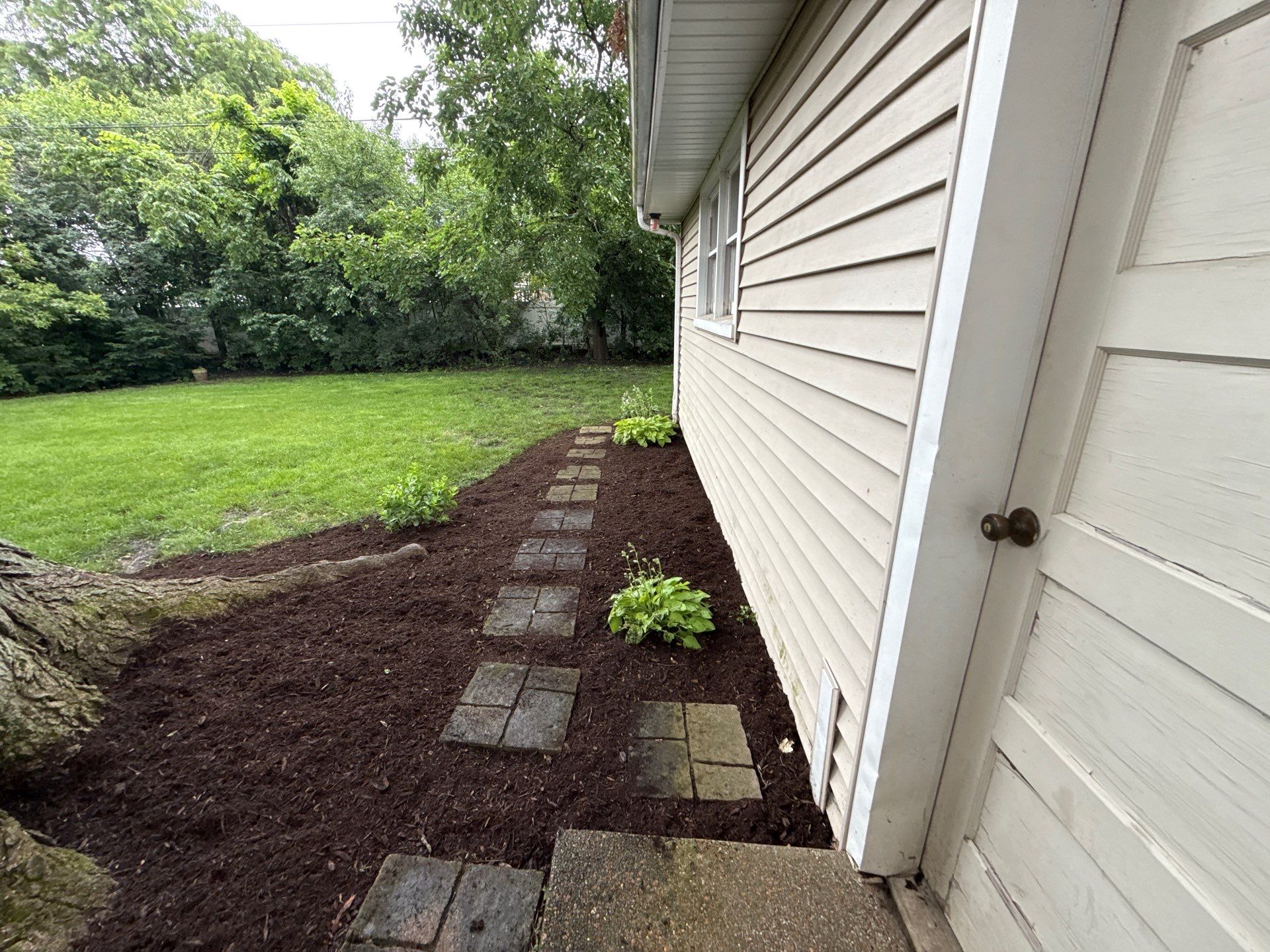 Lauren T. - Arlington Heights, IL by A&N