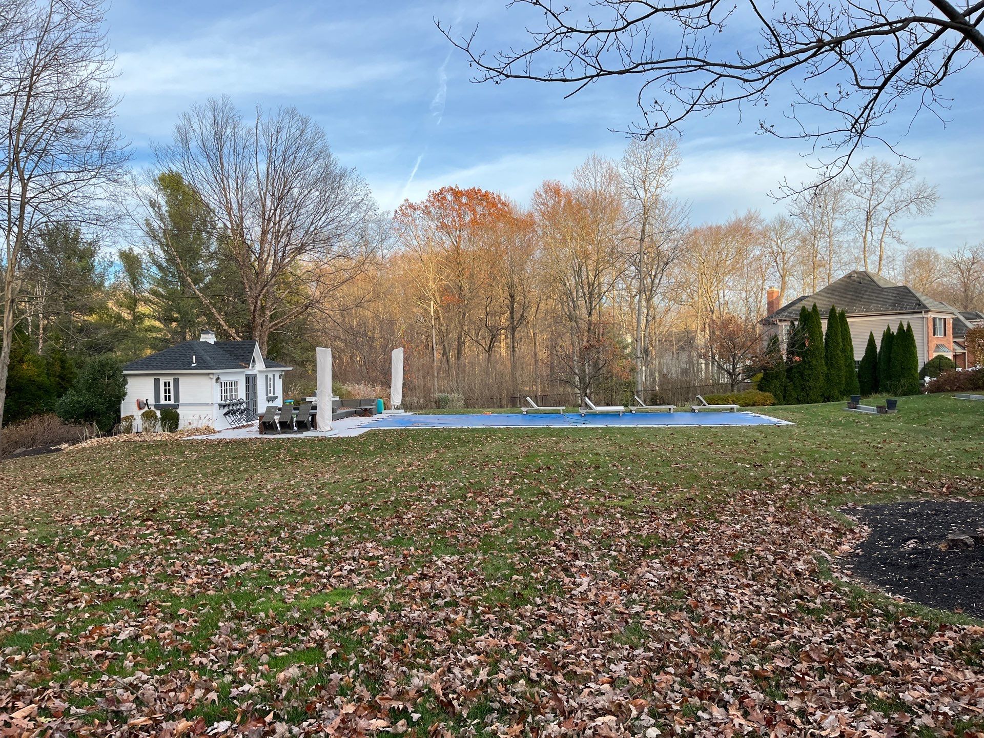 Comprehensive Lawn Care in Warren by Ants Plants
