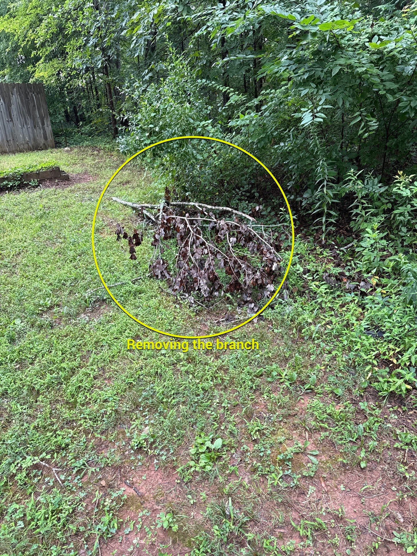 Project in Indian Trail by Badger Hauling