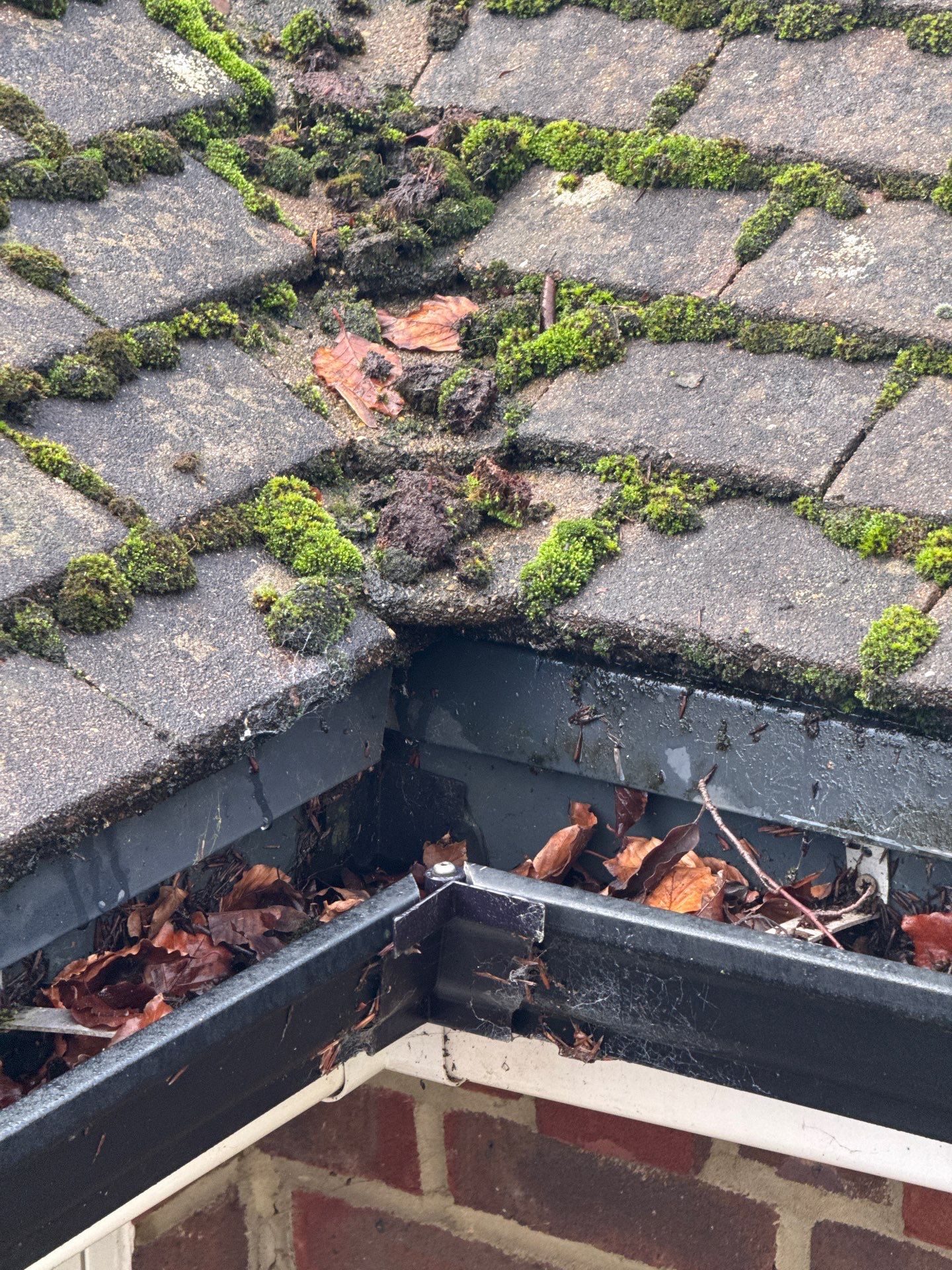 Roof Cleaning by Ges Exterior Cleaning ltd