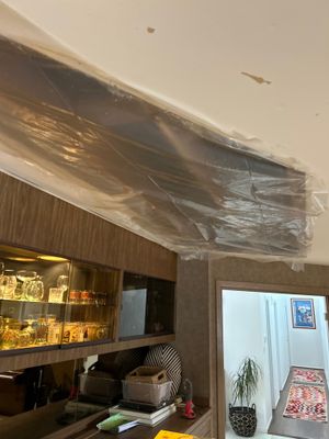 Crawlspace/Interior Mold Remediation in Prospect, KY