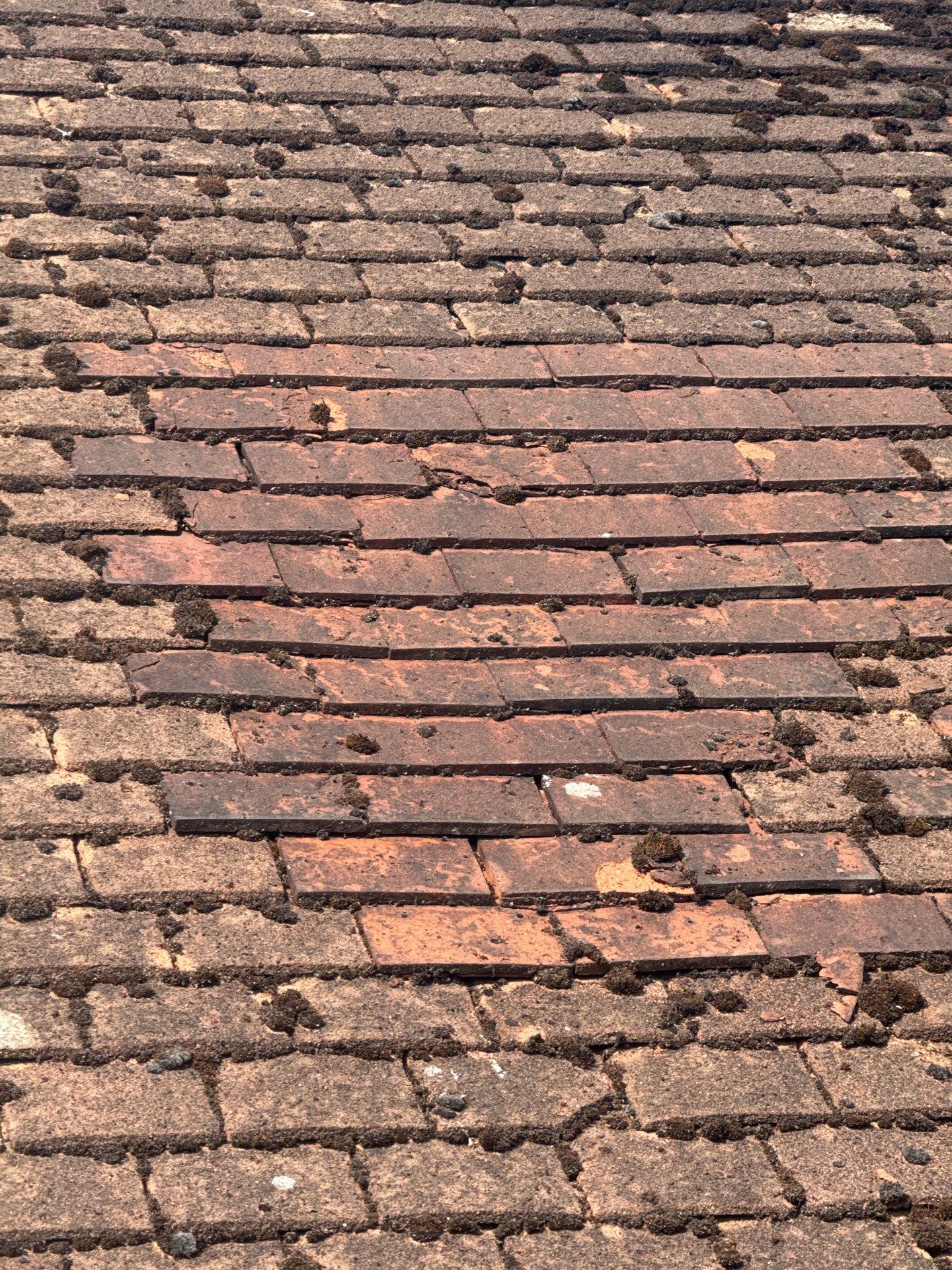 Roof Clean - Gutter Clean - Biocide Treatment by Ges Exterior Cleaning ltd