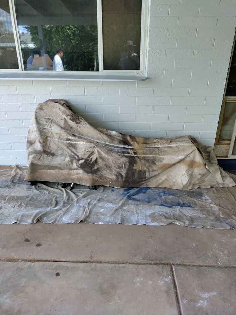 You either love it or hate it! by Crash of Rhinos Painting & Garage Floors