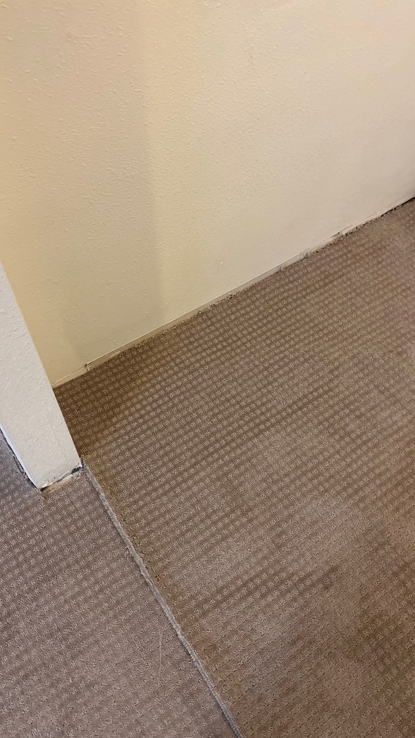 Mold Remediation by Accountable Home Services