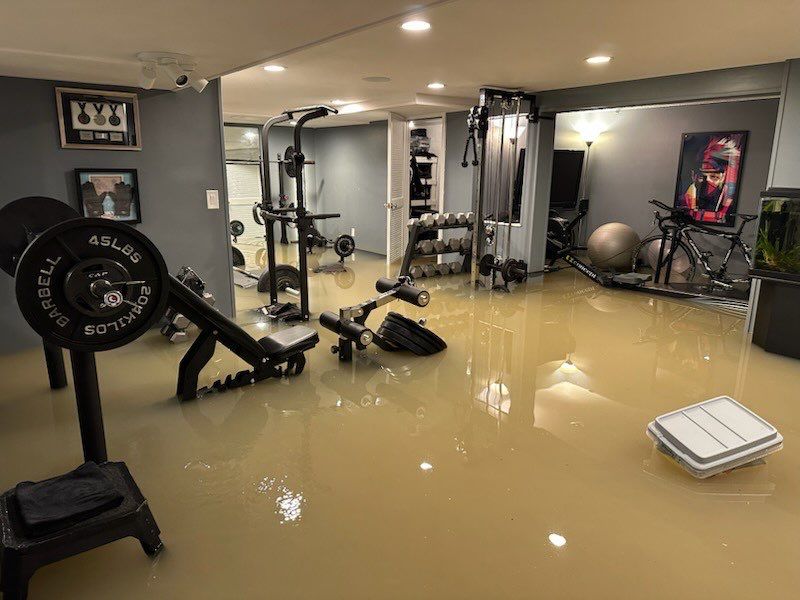 Project in Beverly Hills by EzDry Water Mitigation & Property Restoration