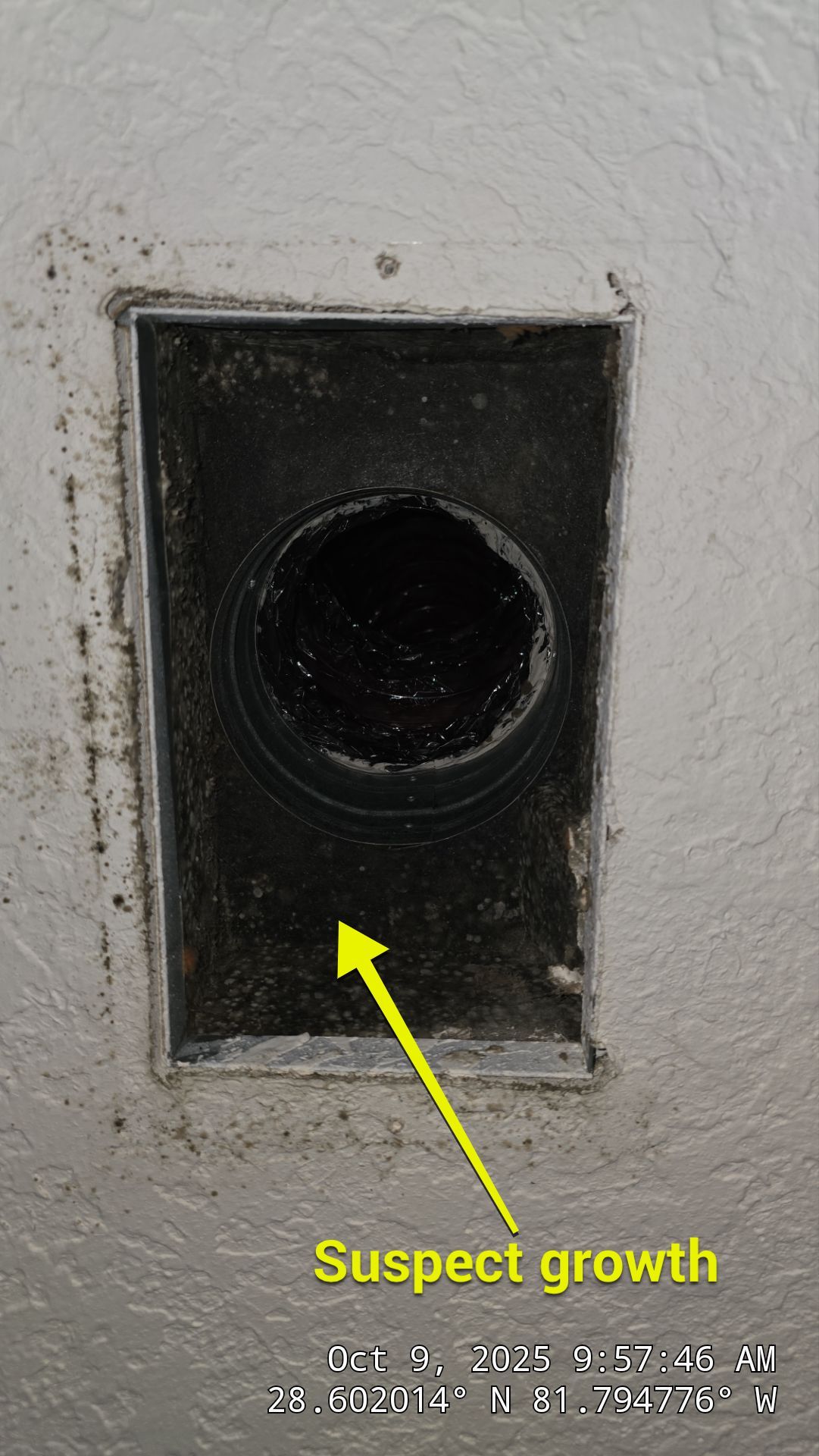 Air Duct and Dryer Vent Cleaning in Groveland by Hygienic Air, Inc
