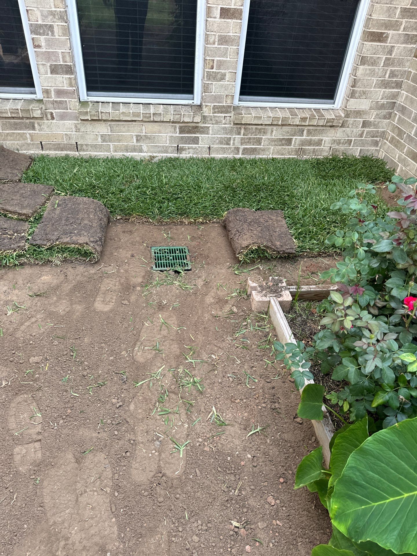 🌟 Mr. & Mrs. Wheeler’s Drainage & Landscape Transformation by Texas Urban Elements