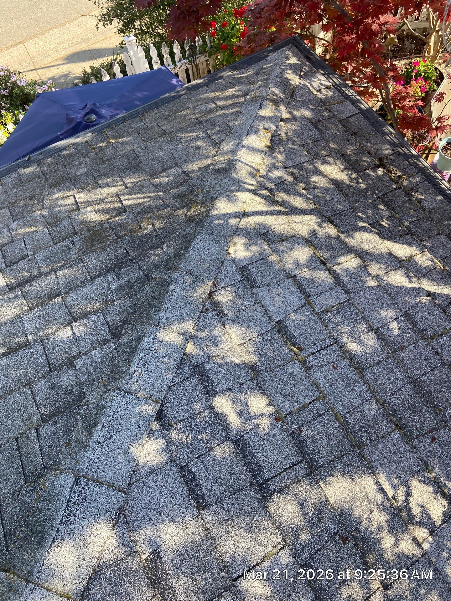 Roof Rejuvenation using Roof Maxx Treatment by Roof Maxx of Folsom