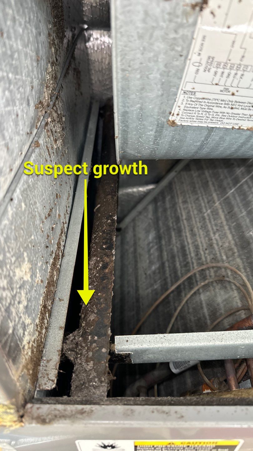 Air Duct Cleaning in Orlando by Hygienic Air, Inc