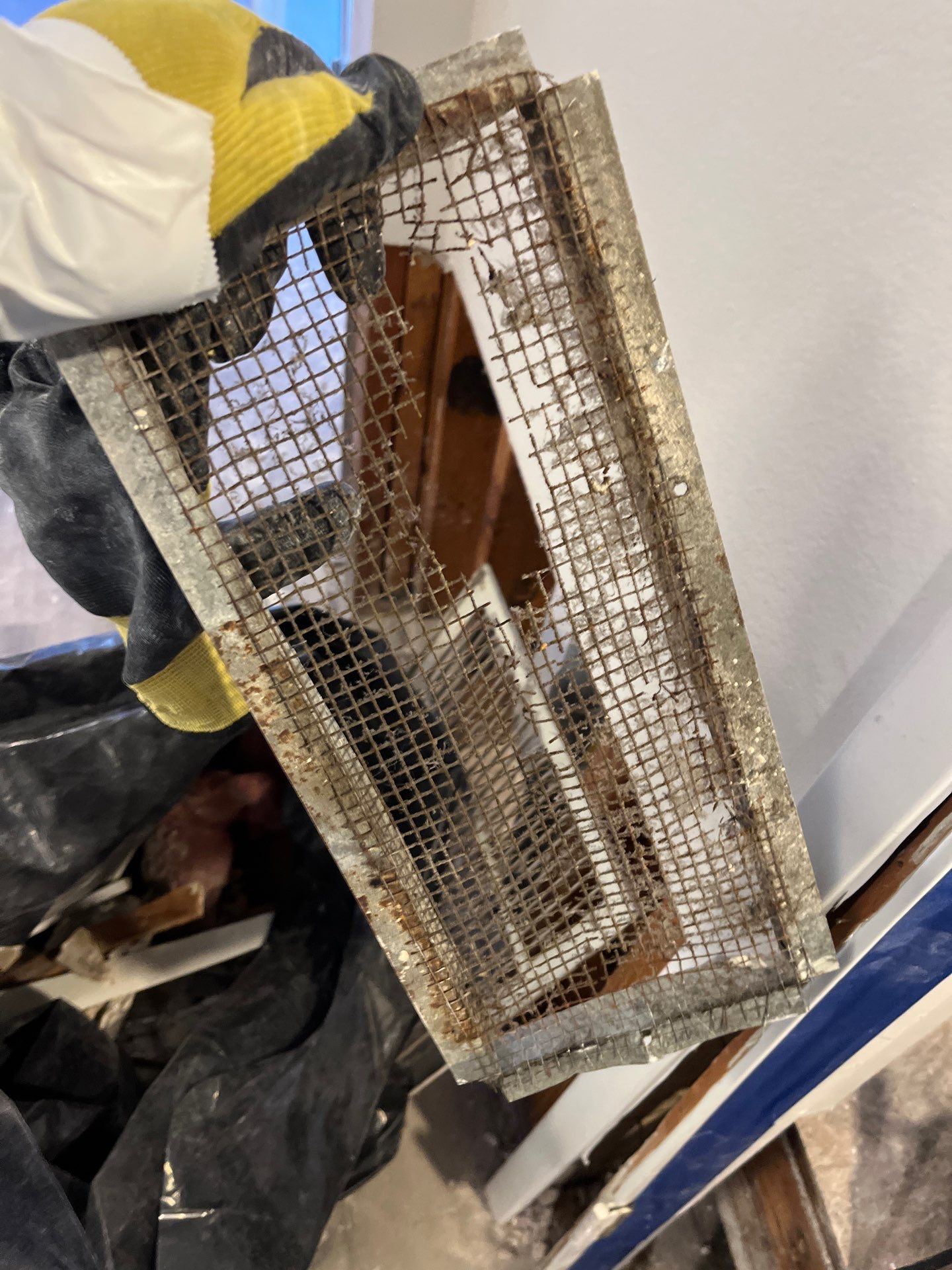 Mold Remediation & Rebuild in Laguna Niguel by One Stop Source
