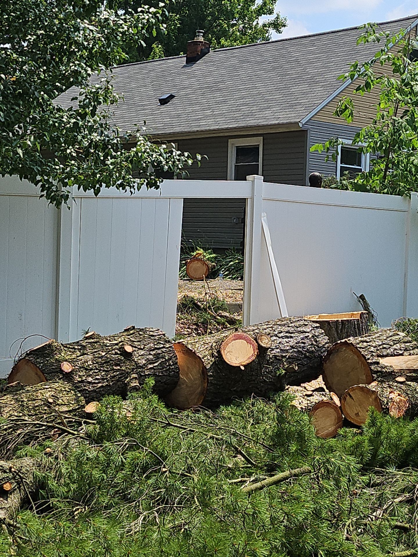 Tree Removal using Tree Removal by Mike Jones & Sons Tree Service LLC 