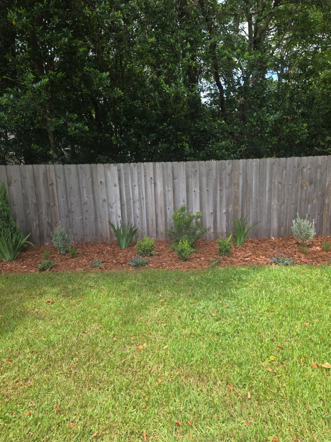 Deerwood Resident | Landscape Project by ProGreen Services