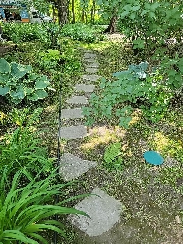 Glencoe, IL brick paver clean sand seal, repair, and reseal by Northern Power Washing LLC.