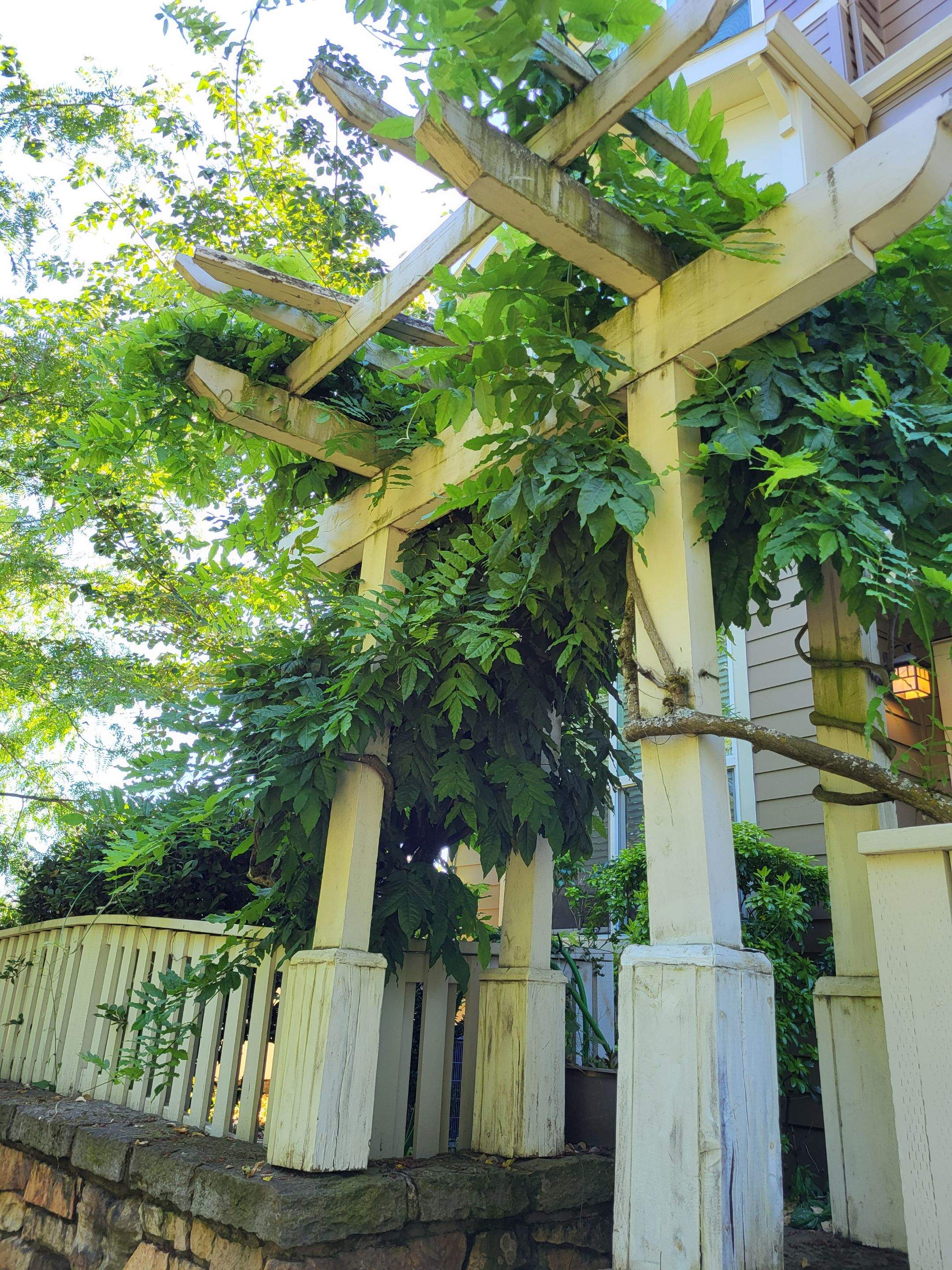 Pergola and Fencing Structural Reinforcement in Happy Valley by American Made Construction