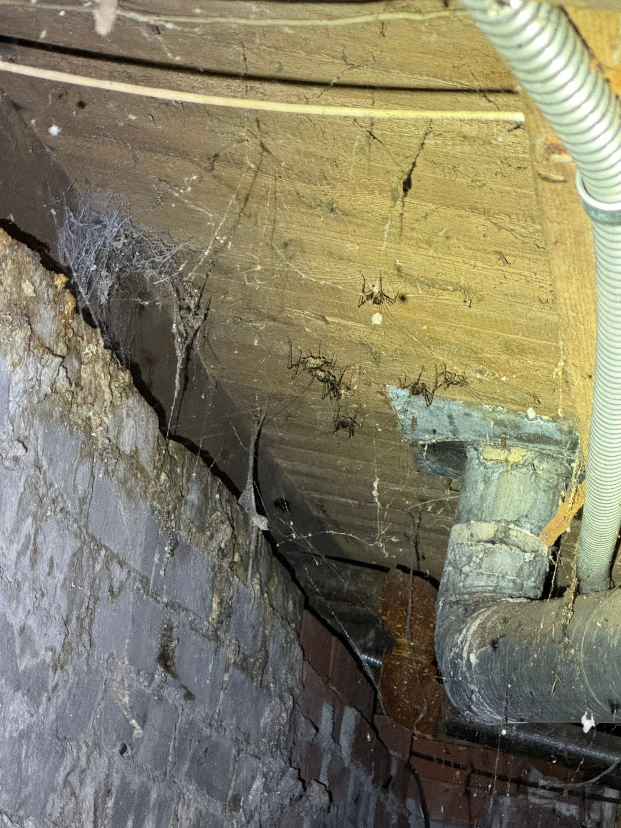 Full Home Remediation by Home Guarantee, LLC