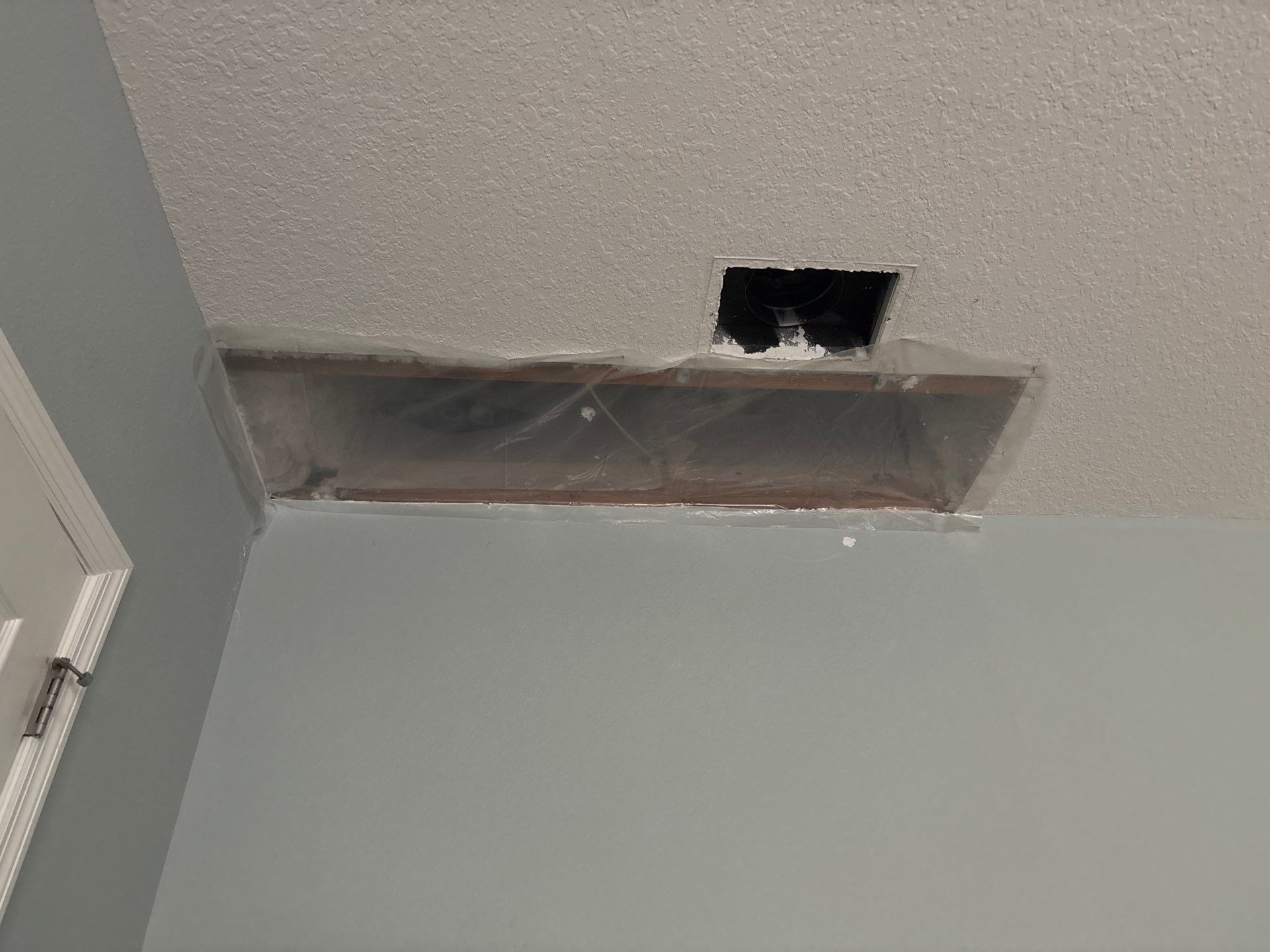 Mold Removal and treatment in Brandon, Florida by Ampm Restoration Services