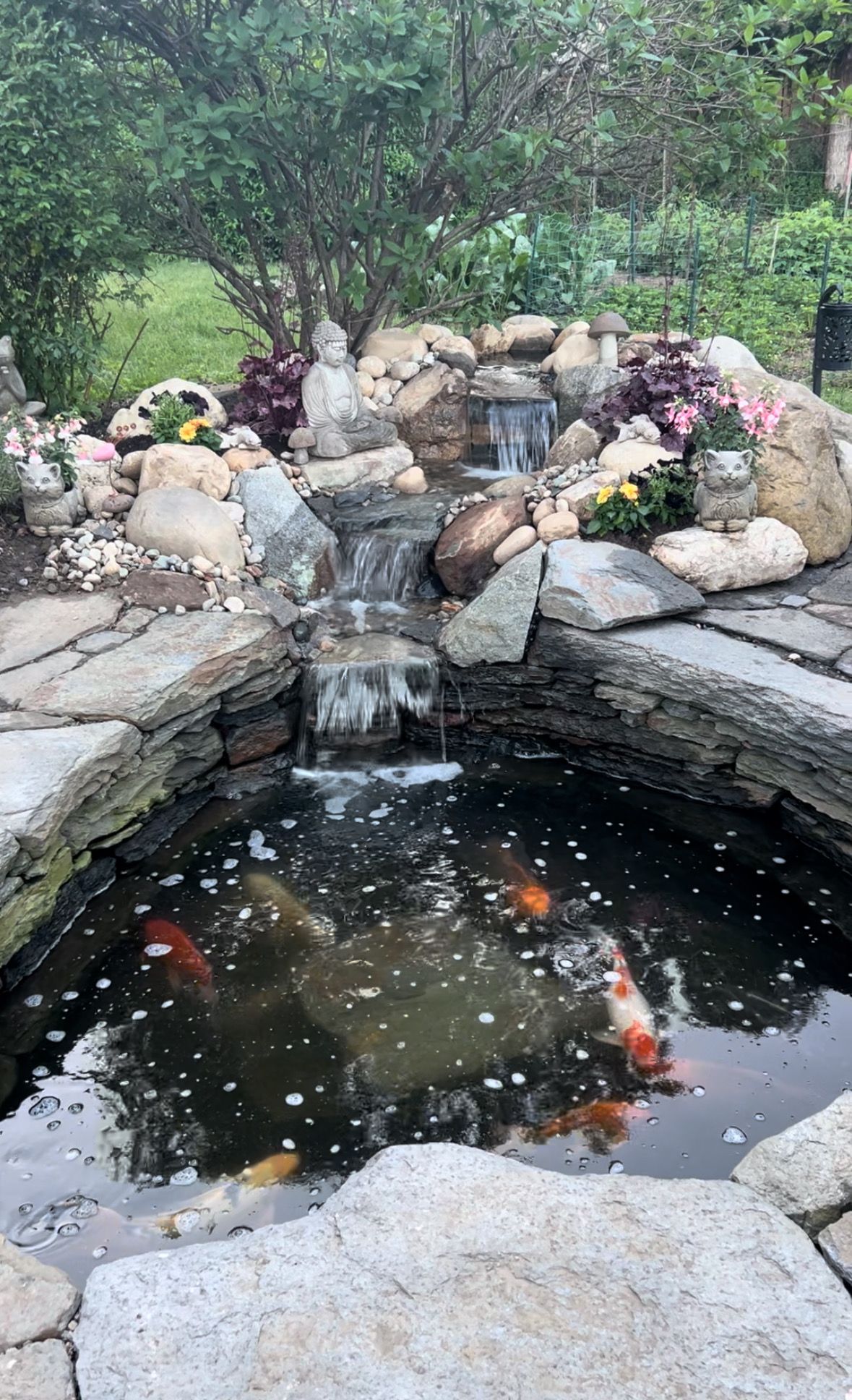 Small Waterfall Rebuild in Hatfield by Wicked Water Gardens