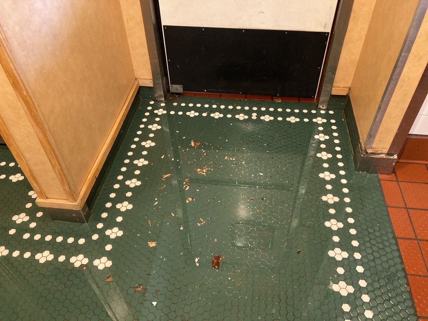 Water Damage  by Accountable Home Services