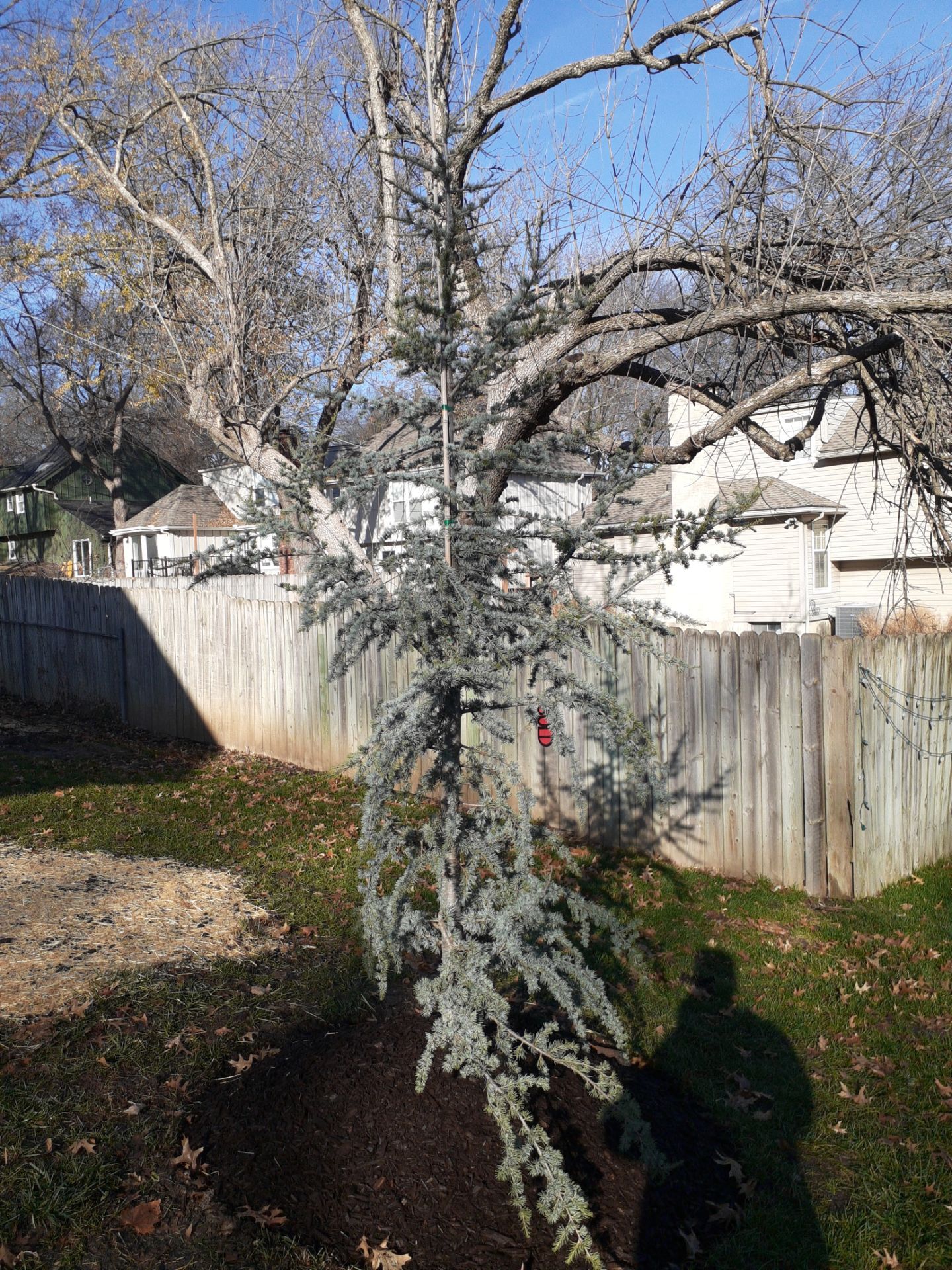 Entire Home Landscape and Retaining Walls by LAND ESCAPES LLC
