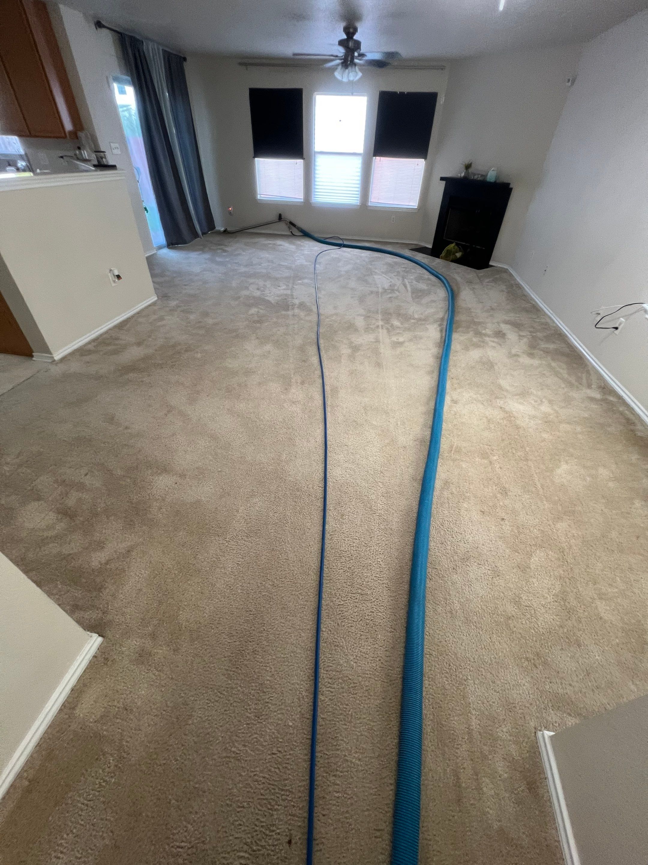 the service being done is carpet cleaning with hoses connected to equipment for deep cleaning and extraction of dirt and stains