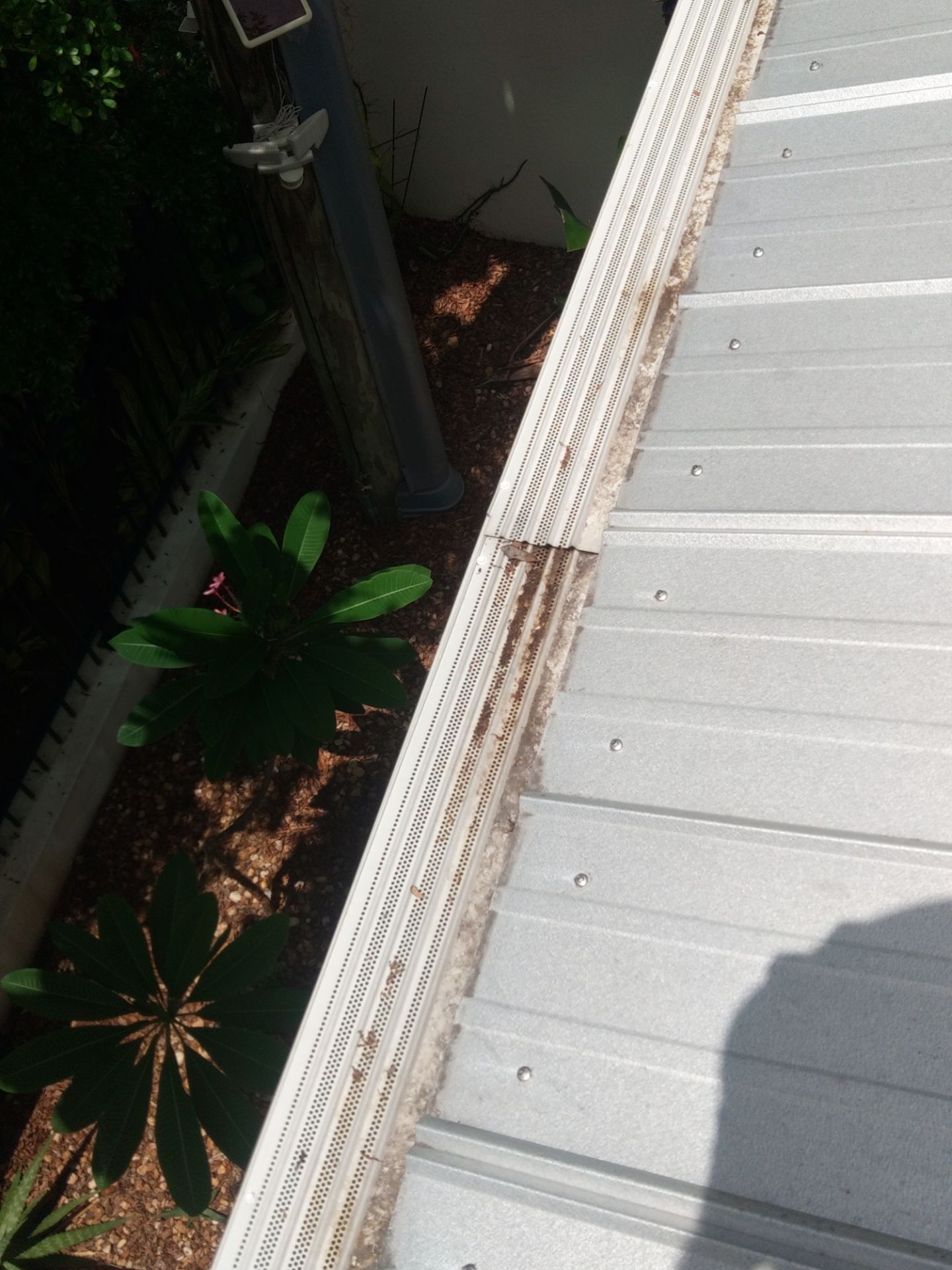 Gutter guards installation combined with gutter cleaning in Sarasota, FL by Gutter Professors