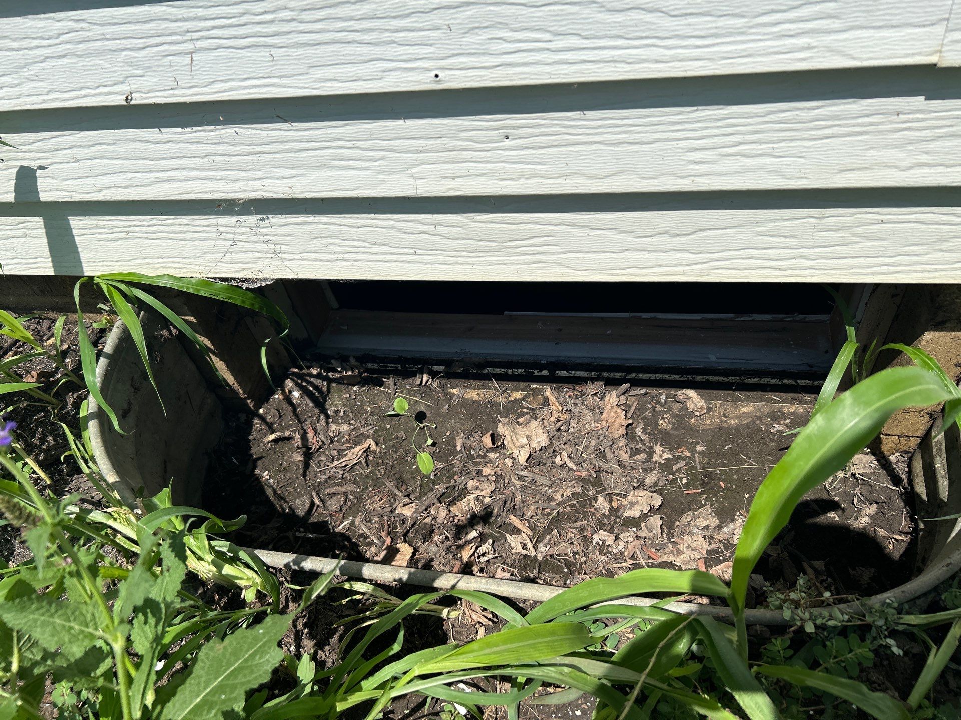 Pella 250 Series Window Replacement by United Windows and Siding LLC