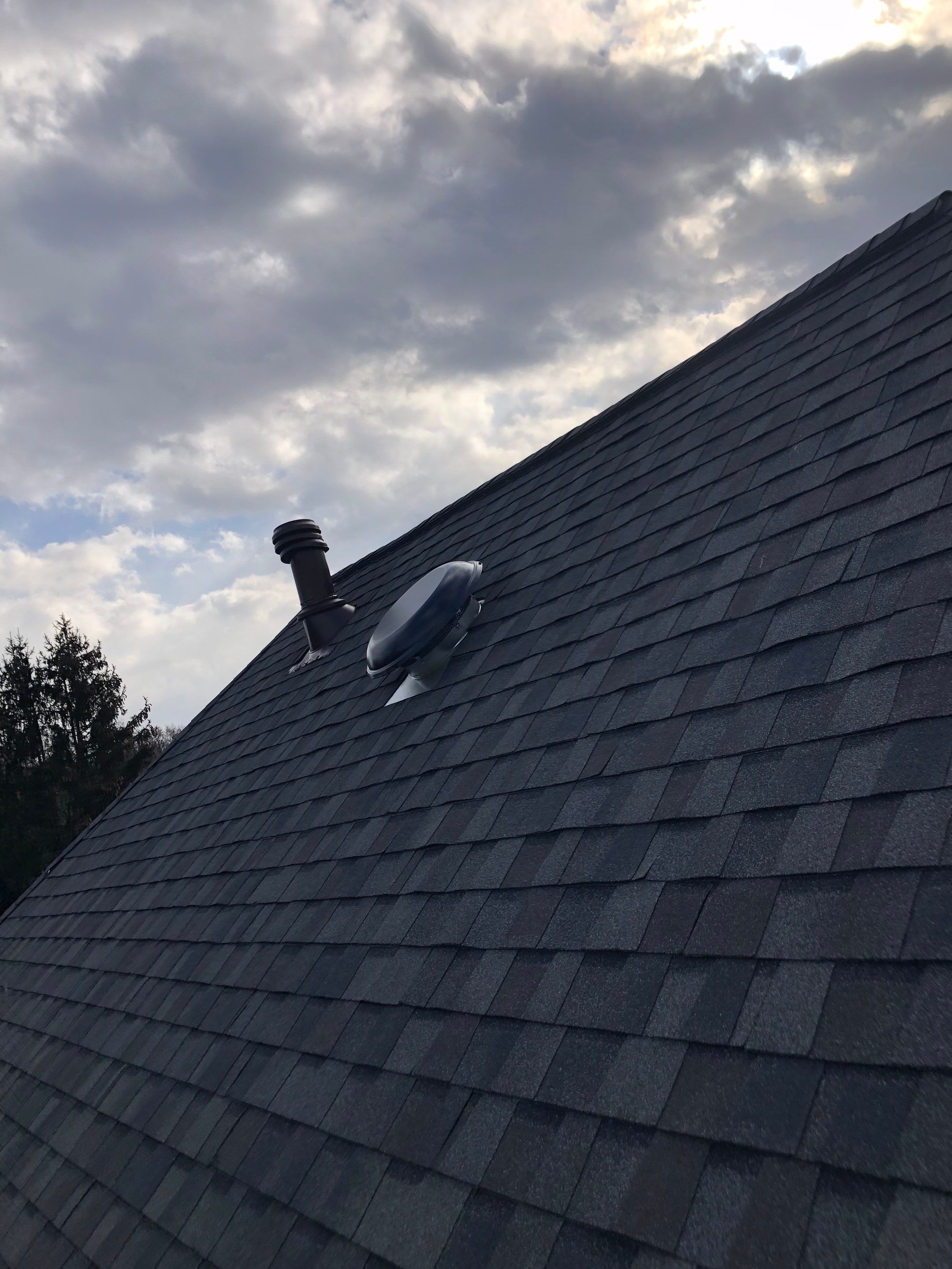 Herndon: CertainTeed Landmark Pro Designer Shingles in Max Def Driftwood by RM Banning, Inc.