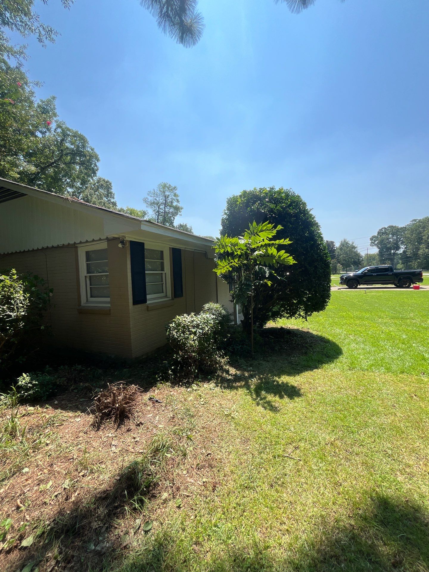 Yard Makeover by College Bros Outdoor services