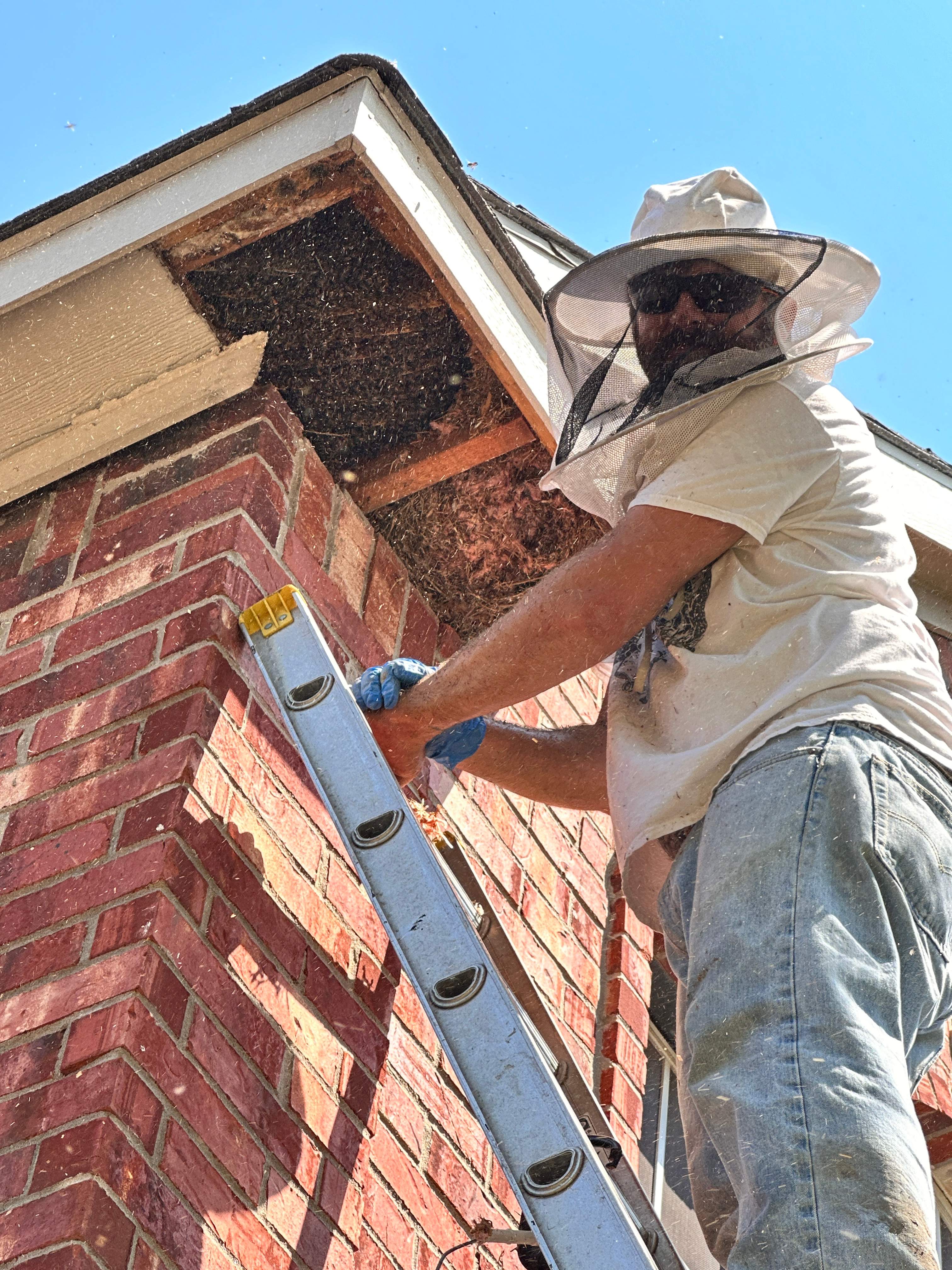 Extra High Up by Rockwall Honey Bee Company