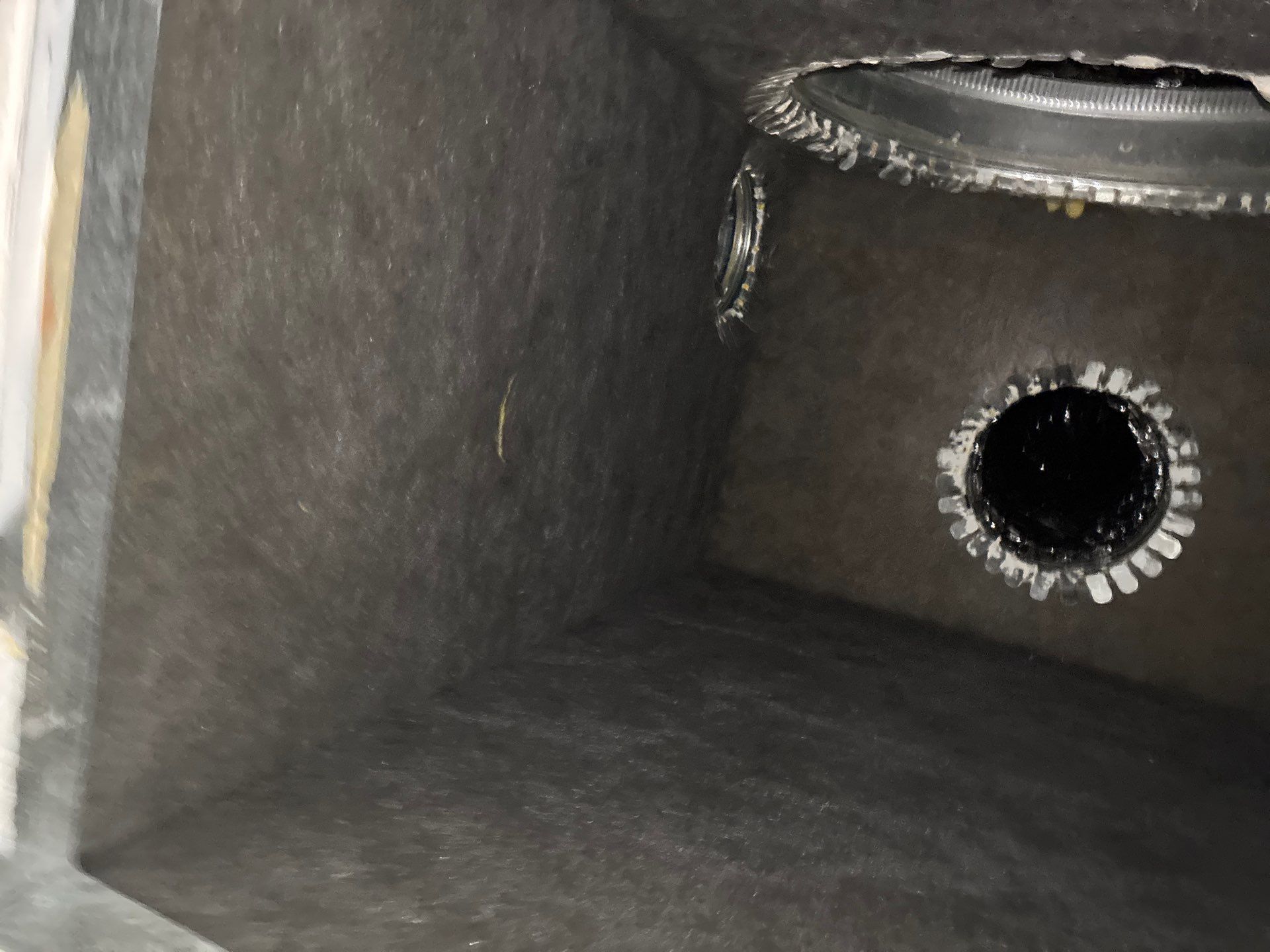 Air Duct and Dryer Vent Cleaning in Groveland by Hygienic Air, Inc